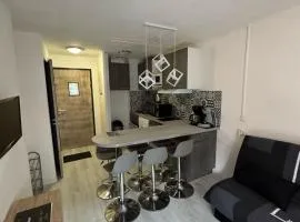 Résidence les Mélèzets 2 au pieds des pistes et des commerces