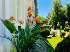 Villa Schloss Rimsingen Fine Apartments，位于莱茵河畔的布赖萨赫的酒店