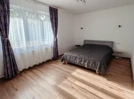 Apartament Park