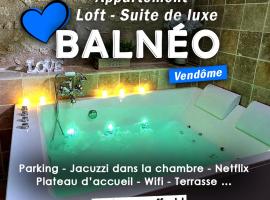 Loft Suite de luxe - Jacuzzi - SPA - Balnéo Vendôme，位于旺多姆的酒店