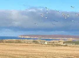 Pinelodge, Dunnet Bay