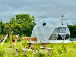 Alpaca Geo Dome，位于Llanstadwell的酒店