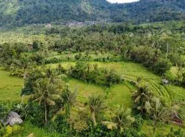 Lumbung Intan