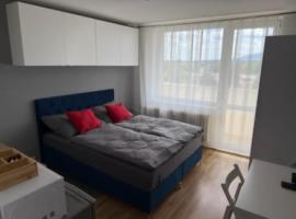 Útulná Garsónka 2，位于托普拉河畔弗拉诺夫的酒店