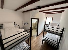 Hostel Omul Verde，位于Richişu的青旅