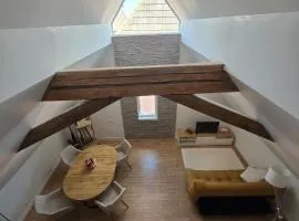 Duplex sous les toits d'Alsace