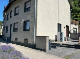 Holunder nah am Waldsee 2