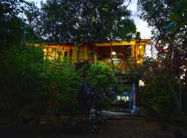 The Travel Tree Hostel，位于锡吉里亚的青旅