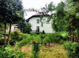 Stara Szkoła w Romanowie