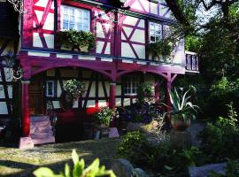 Romantik-Pension Vogt，位于奥芬堡的酒店