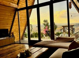 Cozy Cabin House，位于新帕扎尔的酒店