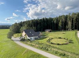 Ferienchalet Sophie，位于Patersdorf的木屋