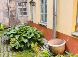 TallinnHousing Luxury SPA House with Sauna and Small Pool Old Town