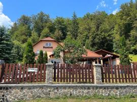 Vila Panova，位于博尔塞克的酒店