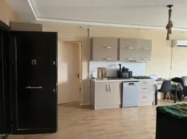 Dirsi