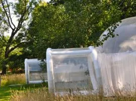 Noortweghe GLAMPING
