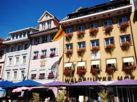 Hotel & Restaurant Waldshuter Hof，位于瓦尔茨胡特田根的酒店