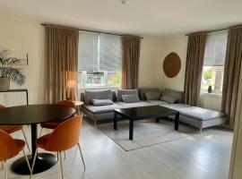 Nice and furnished apartment，位于桑讷菲尤尔的酒店