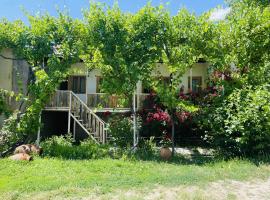 Guest House Aleksandre，位于T'mogvi的酒店