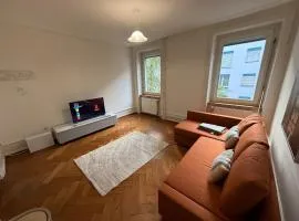 Chill and Tranquil in St Johann near Novartis Campus