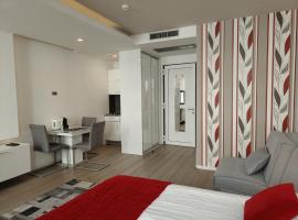 Central Point Privilege Apartments，位于萨拉热窝的酒店