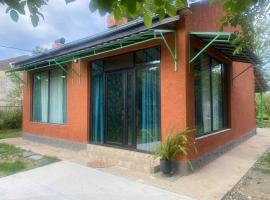 House Ianeti