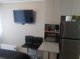 Departamento Centro Plaza 403