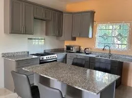 Livingwell Homes Jamaica