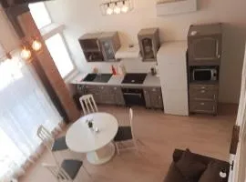 Air-conditioned apartment, 4 to 6 people, Tarn, Albi, Gaillac, Cordes
