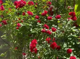 Perfect Grееn Point with fire-place