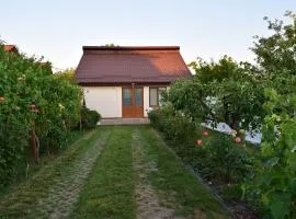 The Ranch House Bragadiru