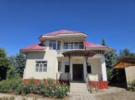 Talas guest house，位于Talas的酒店