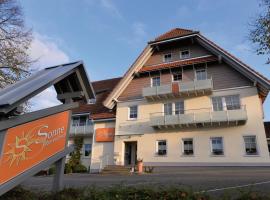 Gasthaus Hotel Sonne，位于菲林根-施文宁根的酒店