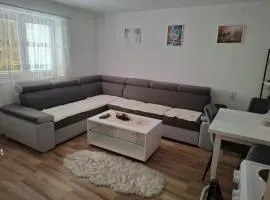 Oaza Apartment Goransko Plužine