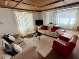 Family Laax Apt Lakeside Mountain Views