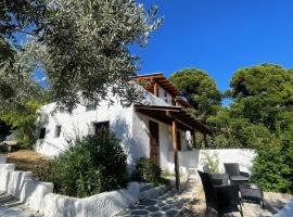 Rastoni Apartments Skiathos，位于特劳洛斯的酒店