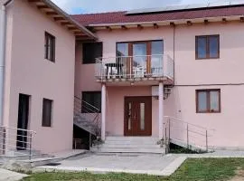 CASA BIA CRIBO Sannicolau de Munte - bai termale