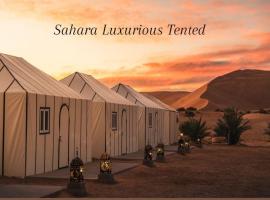 Sahara Luxurious Tented，位于梅尔祖卡的酒店