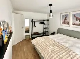 Bright flat with terrace in Sierre
