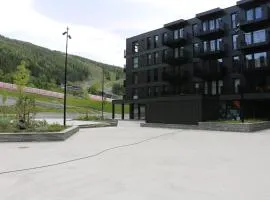 Stylish apartment in Hemsedal, Ski in-ski out