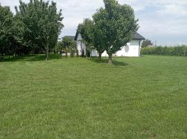 Domki w Winnicy - Świętokrzyska Winnica Knapów，位于Krzczonowice的酒店