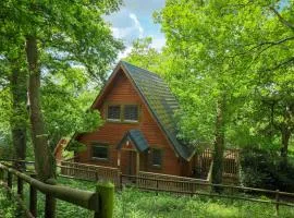 Lodge 68 - Fern Gully