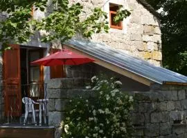 Maison en Granit rénovée avec terrain et terrasse, proche Tence, idéale pour famille et activités outdoors - FR-1-582-134