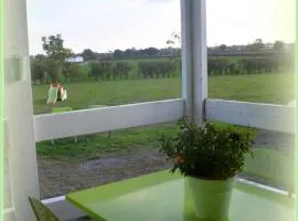 Charmants chalets au bord du lac avec terrasse, activités nautiques et pêche, animaux acceptés, tout inclus - FR-1-489-361