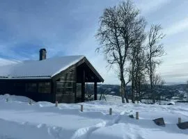 Architectural Gem With Views Of Hallingskarvet