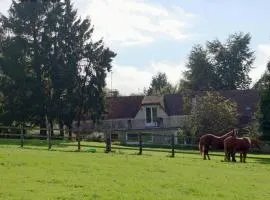 Gîte cosy avec accès à un camping, étang, VTT, et proche de randonnées et d'Alençon, animaux acceptés - FR-1-497-111