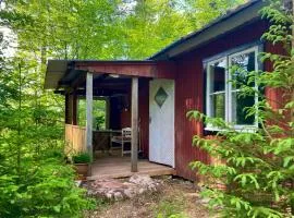 Off-Grid Cabin In Your Private Swedish Forest