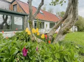 Artists House With Soul Near Hanklit