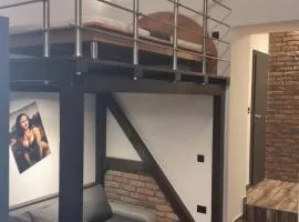 Banija studio apartments