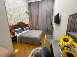 Hôtel Pilote de Luxe